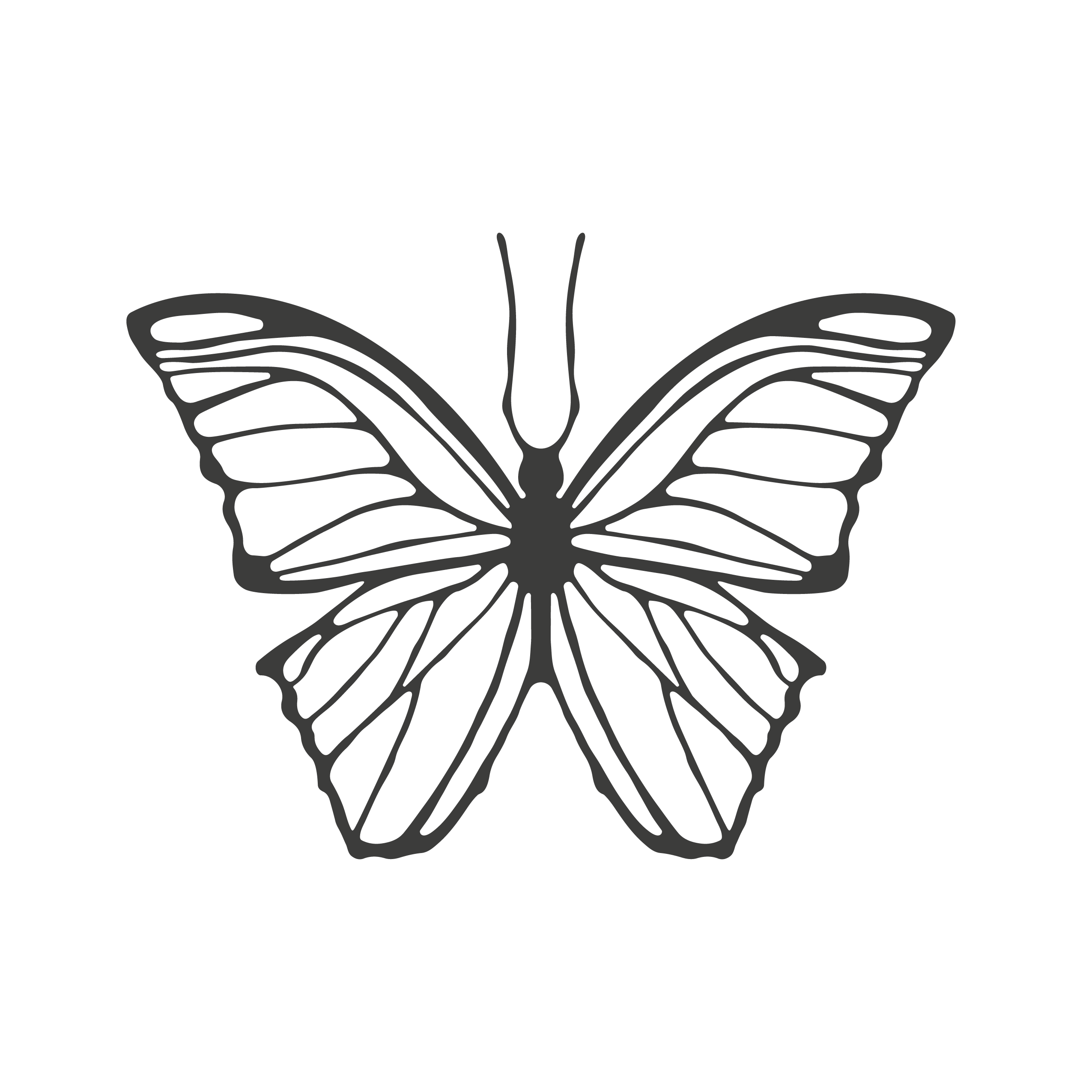 Silueta mariposa — dibujada a mano