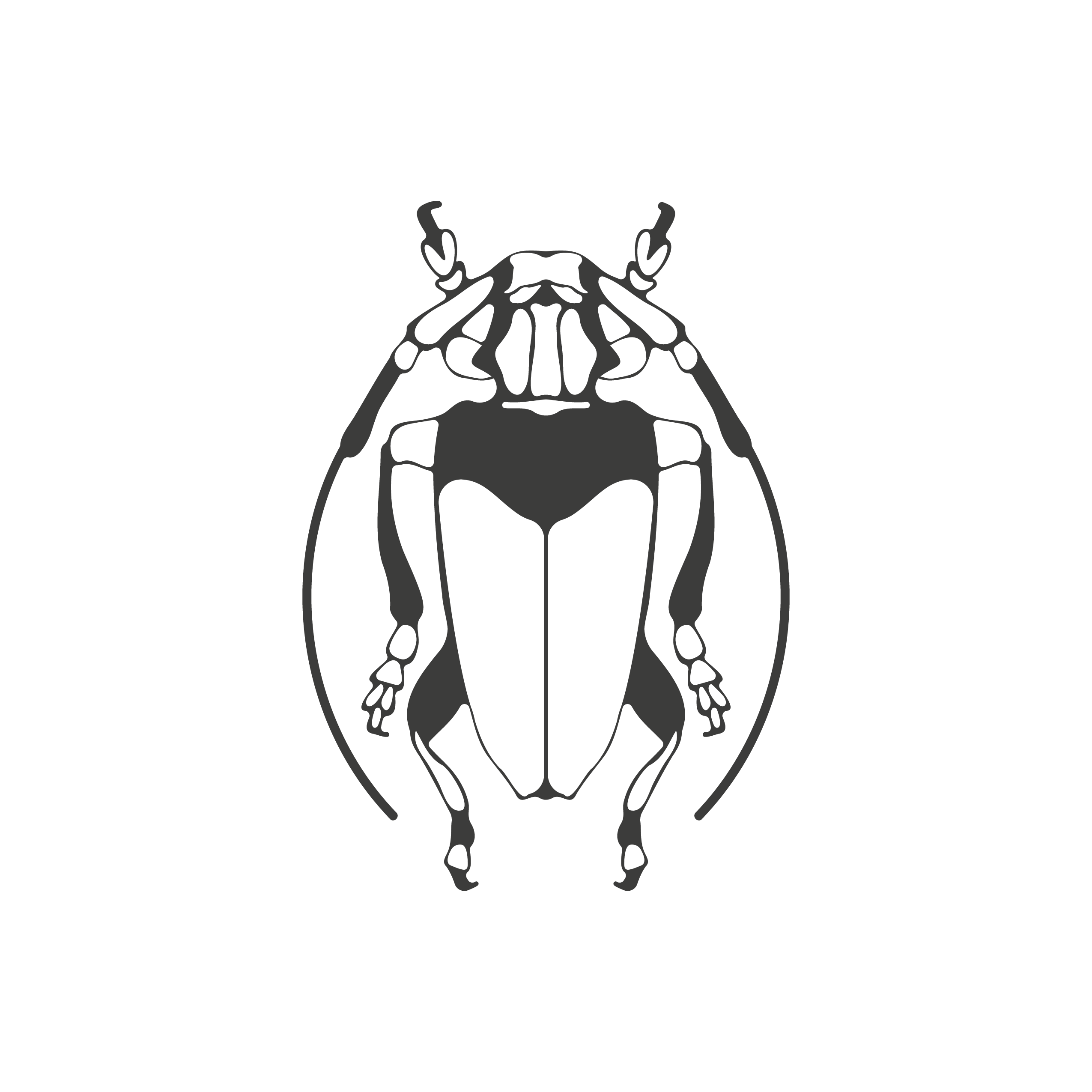 Silueta escarabajo — dibujada a mano