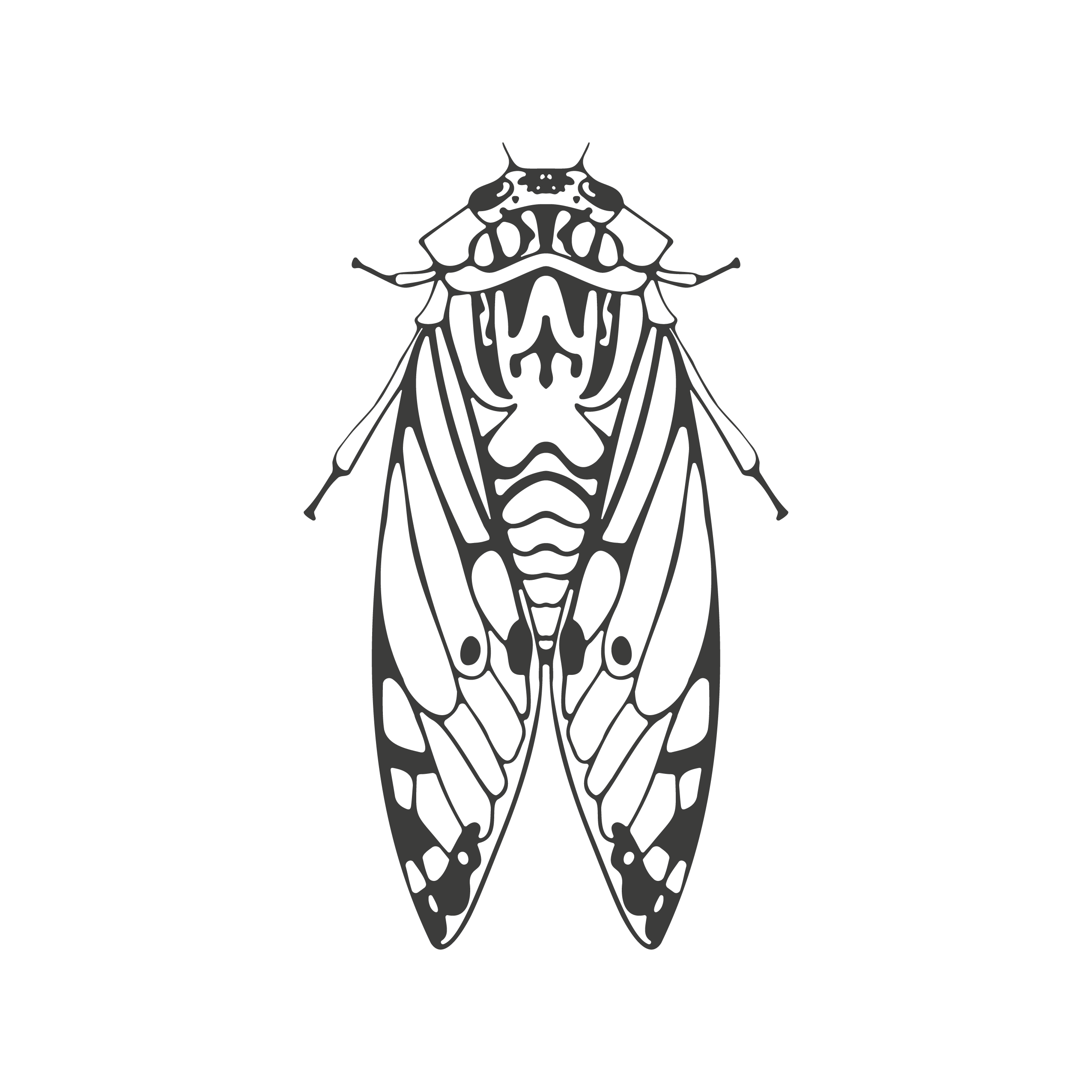 Silueta cigarra — dibujada a mano